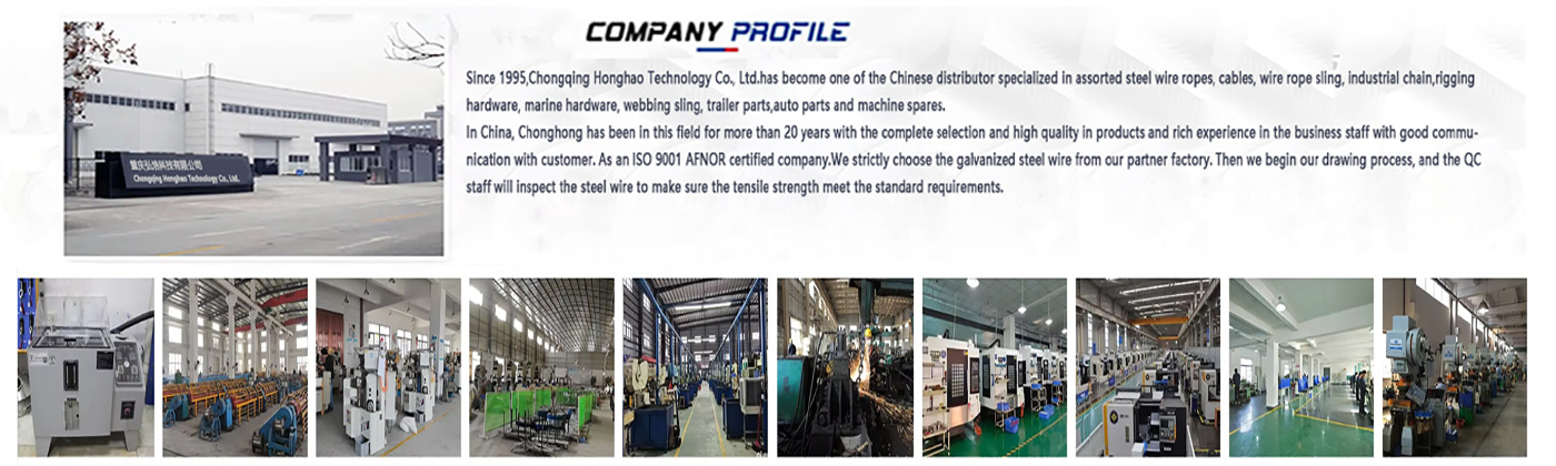 Chongqing Honghao Technology Co., Ltd.