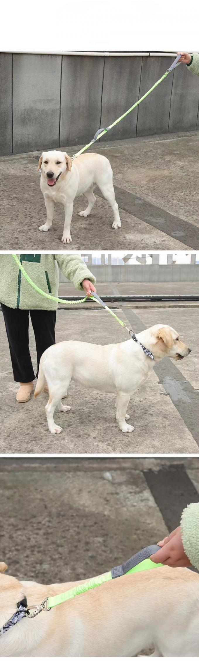 Elastic Leash para perros a prueba de explosiones de aleación de plata Entrenamiento de gancho, seguridad del automóvil 1