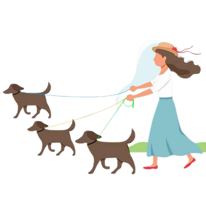 Elastic Leash para perros a prueba de explosiones de aleación de plata Entrenamiento de gancho, seguridad del automóvil 4