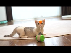 Scooter de equilibrio controlado por voz para gatos