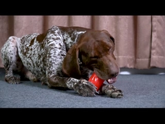 Juguete de masticación de costillas realistas - un palo de golosinas de tres grados de espesor