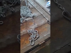 16 eslabones de la cadena Demi