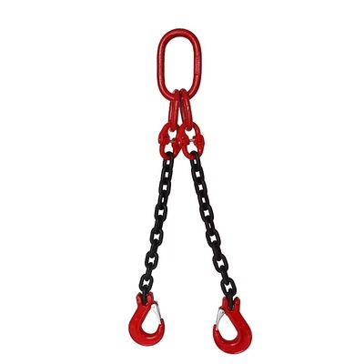 comprar La cadena de elevación de grúa de dos patas para soluciones de manipulación de carga online manufacture