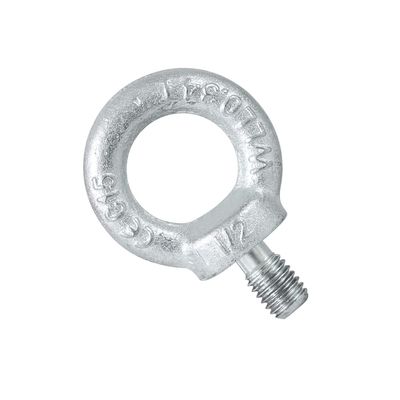comprar Cerrojo de ojo de fijación galvanizado roscado para la operación de elevación y aparejo estándar JIS online manufacture