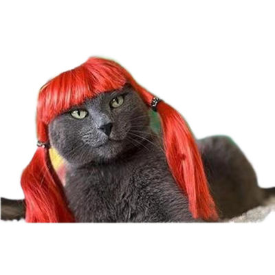 Un buen precio. Elegante peluca de mascotas rizada negra para gatos y perros - lujosa suave ajustable perfecta para eventos formales y sesiones de fotos en línea
