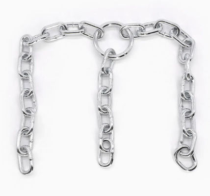 Especializada en suministro de producción de cadena corta para la cadena transportadora